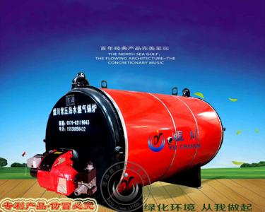 常壓節(jié)能環(huán)保燃?xì)猓ㄓ停t